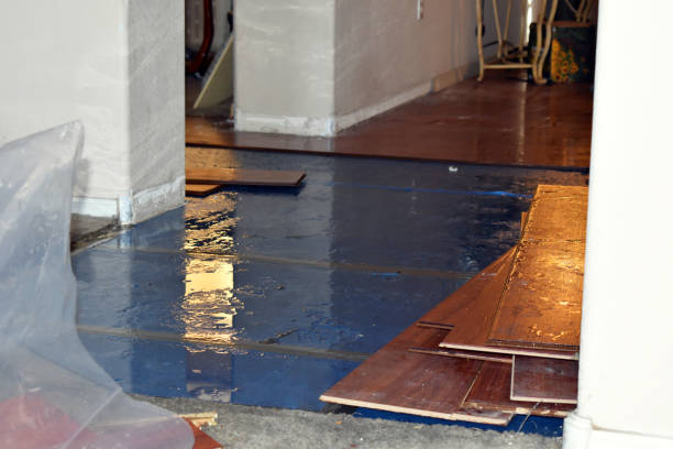 Professional Water Damage Restoration technician working in Clear Lake, IA